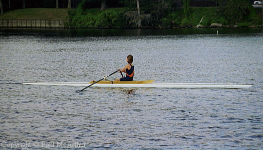 229-384-13.JPG
