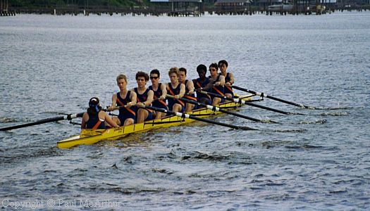 229-384-18.JPG