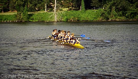 235-687-19.JPG