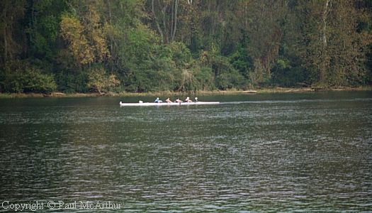 243-388-05.jpg