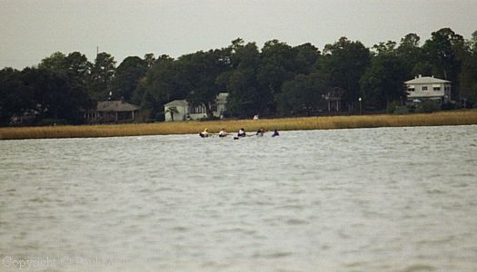 369-946-06.JPG