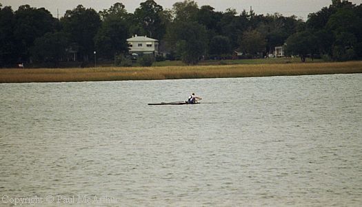 369-946-15.JPG