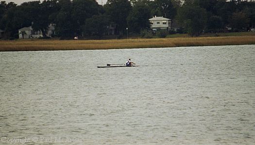 369-946-16.JPG