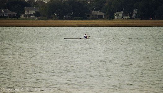 369-946-17.JPG