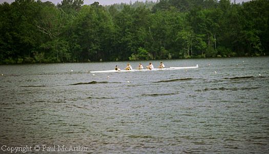 319-131-21.JPG