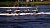 160-463-20.JPG