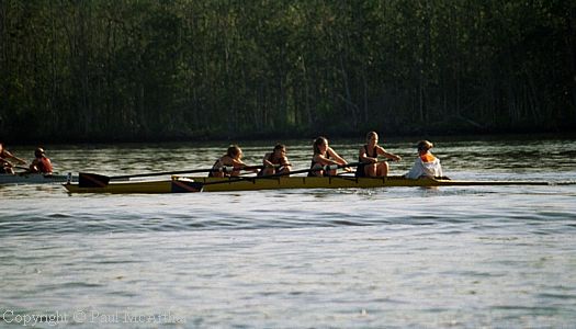 397-796-11.JPG