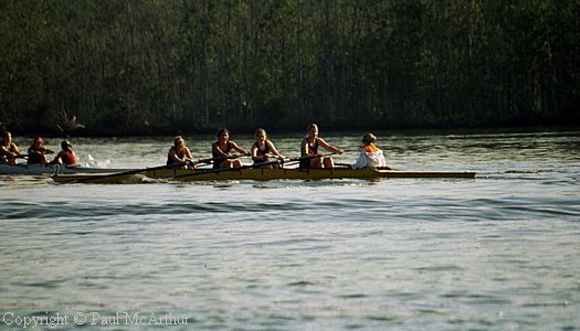 397-796-12.JPG