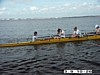 PICT0445.JPG