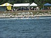 PICT1326.JPG