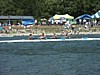 PICT1411.JPG