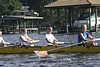 IMG_5108.JPG