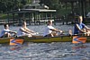 IMG_5111.JPG