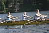 IMG_5168.JPG