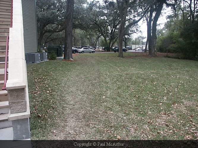 PICT2440.JPG