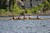 IMG_1437.JPG