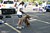 IMG_7223.JPG