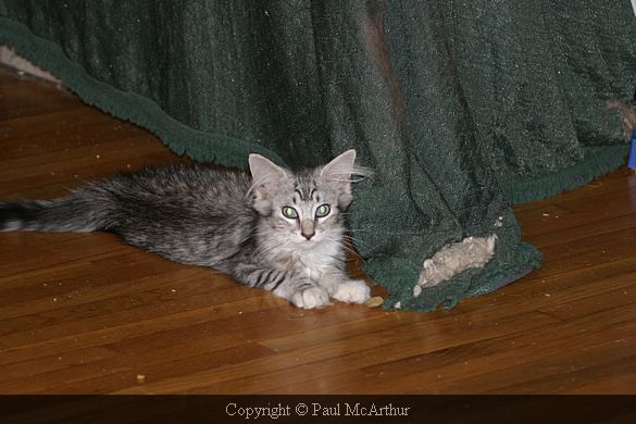 IMG_1495.JPG