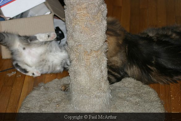 IMG_1564.JPG