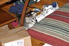 IMG_0444.JPG