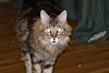 IMG_1497.JPG