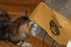IMG_1523.JPG