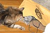 IMG_1524.JPG