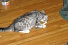 IMG_1530.JPG
