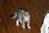 IMG_1535.JPG