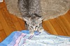 IMG_1544.JPG