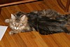IMG_1545.JPG