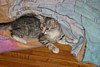IMG_1546.JPG