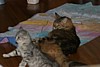IMG_1556.JPG