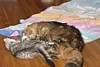 IMG_1557.JPG