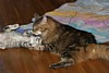 IMG_1558.JPG