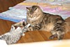 IMG_1562.JPG