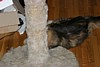 IMG_1563.JPG