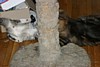IMG_1564.JPG