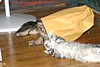 IMG_1567.JPG