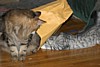 IMG_1571.JPG
