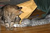IMG_1572.JPG