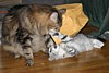 IMG_1573.JPG