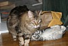 IMG_1575.JPG