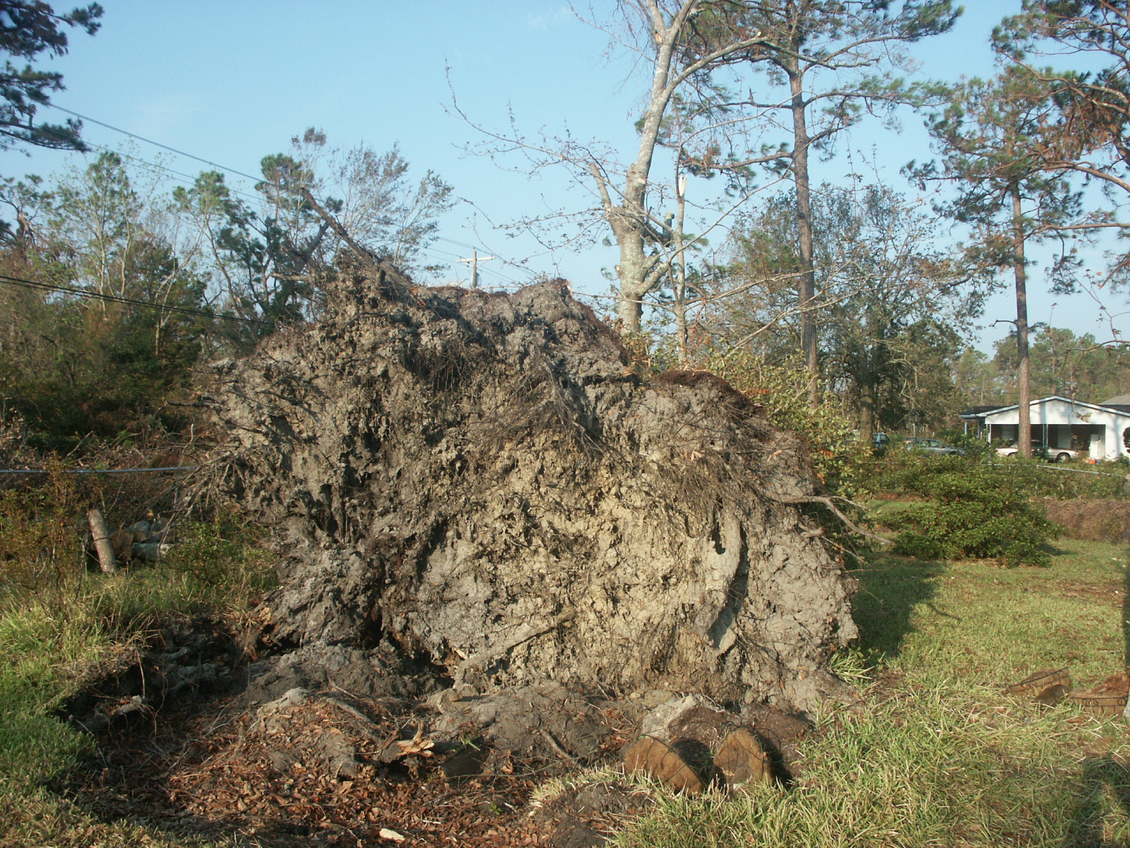 PICT2791.JPG