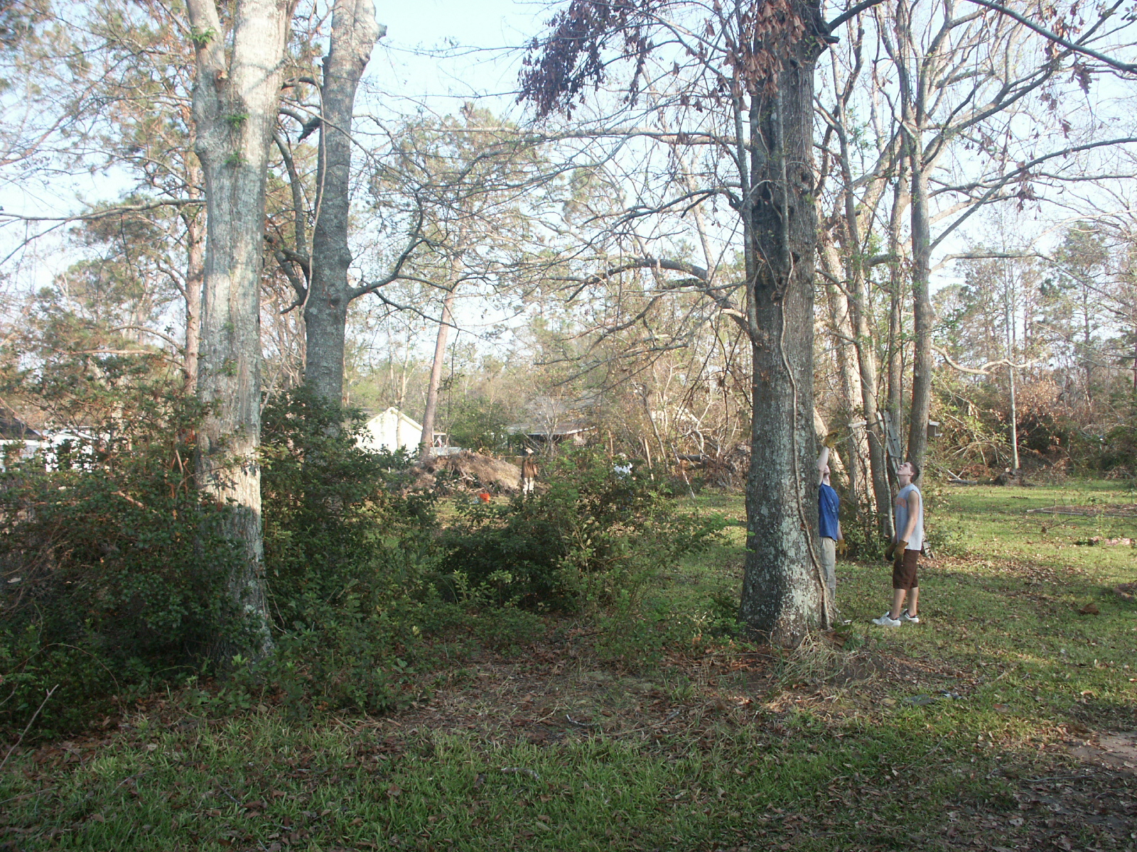 PICT2792.JPG