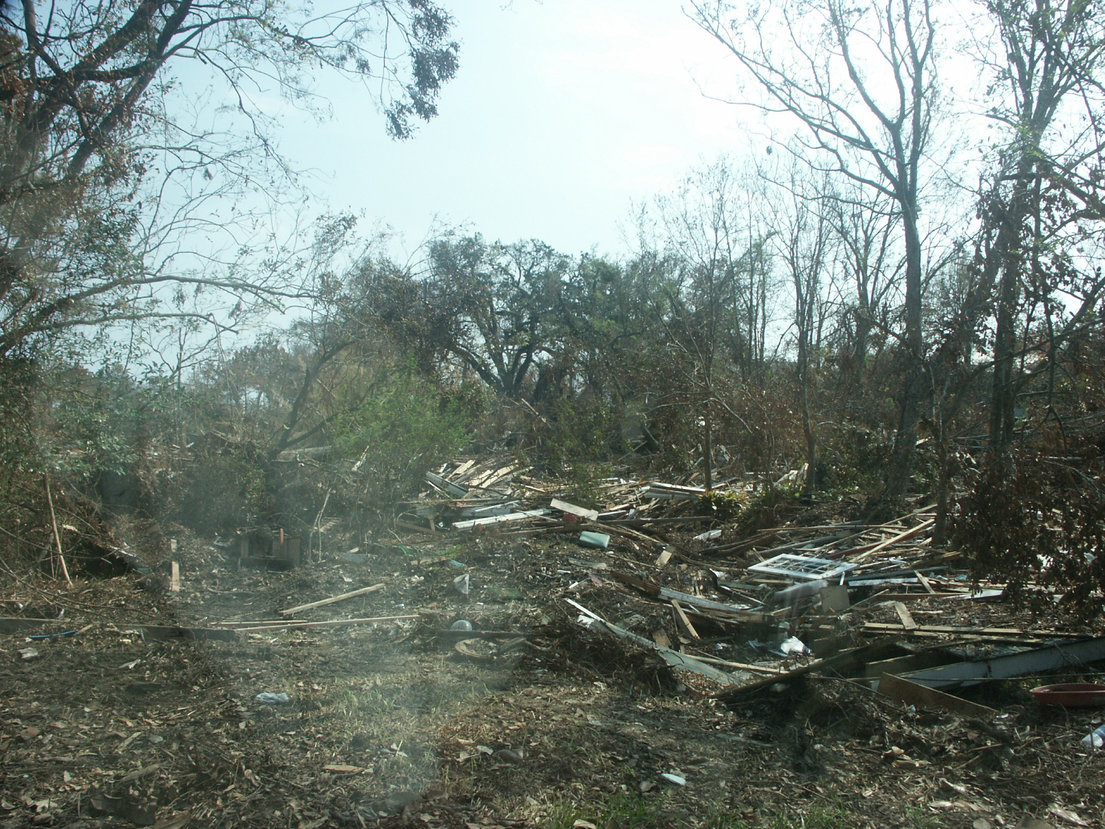 PICT2808.JPG