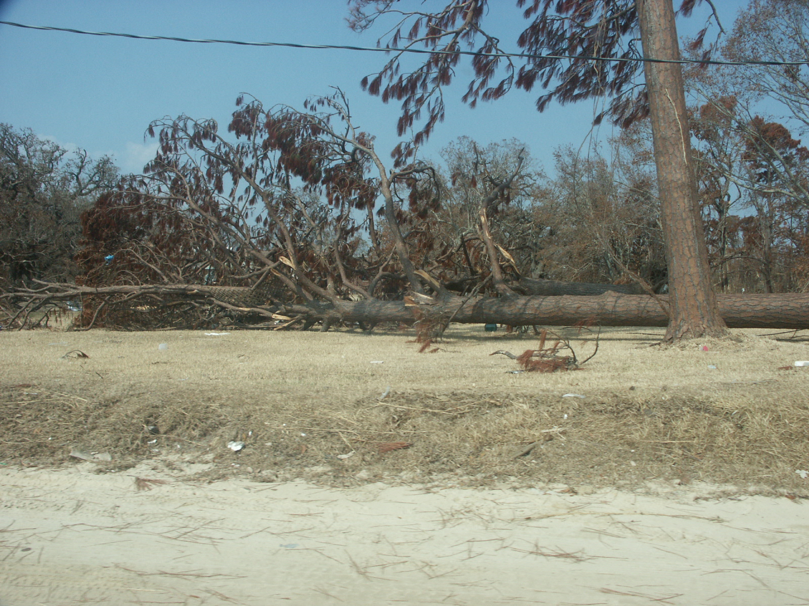 PICT2811.JPG