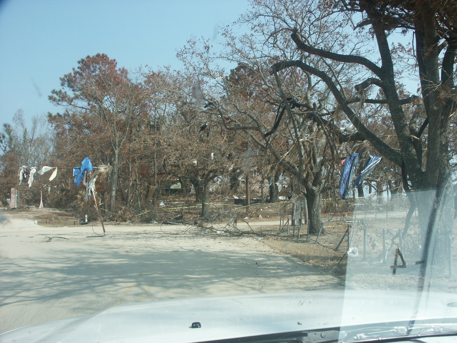 PICT2813.JPG