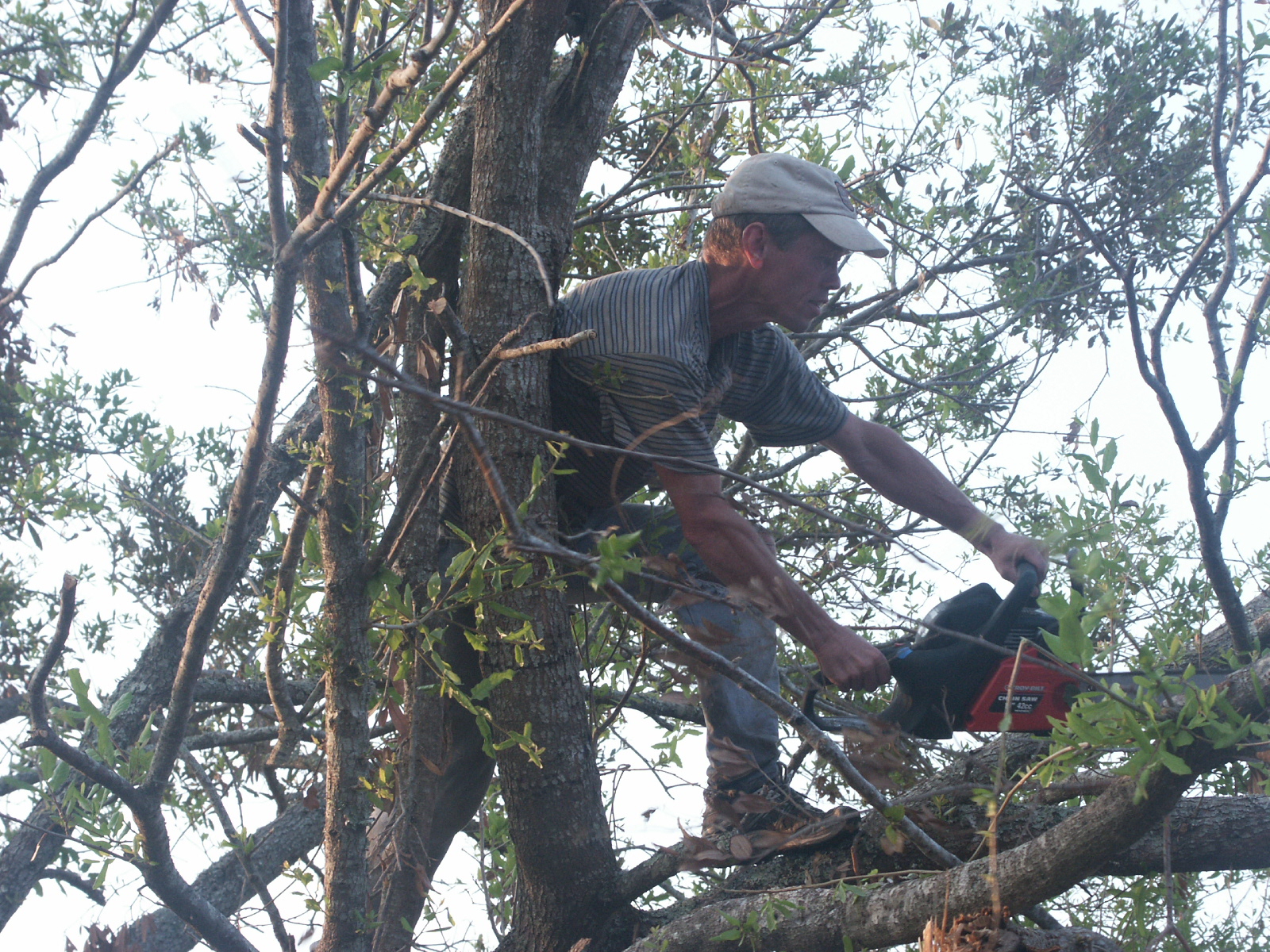 PICT2827.JPG