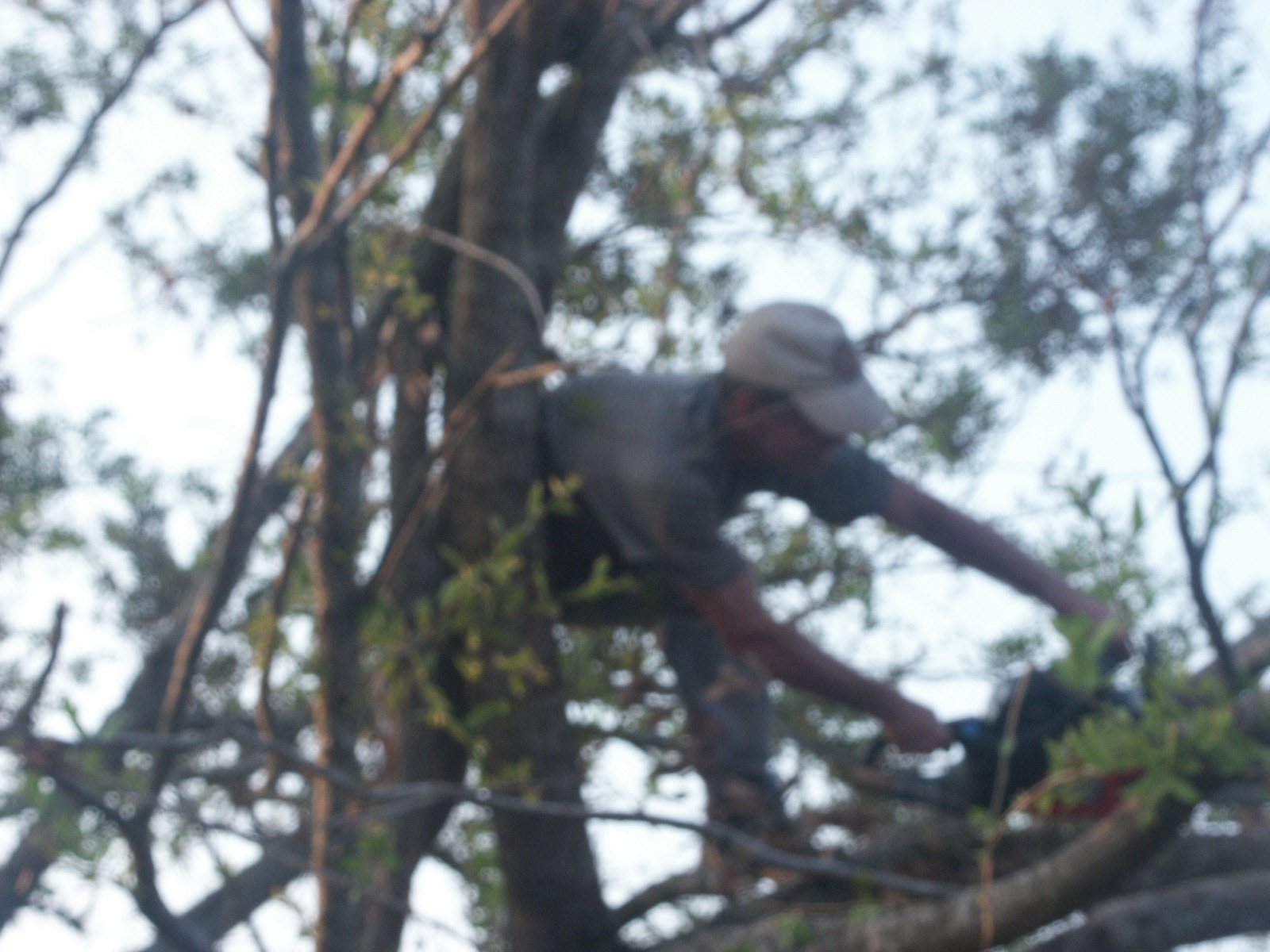 PICT2828.JPG